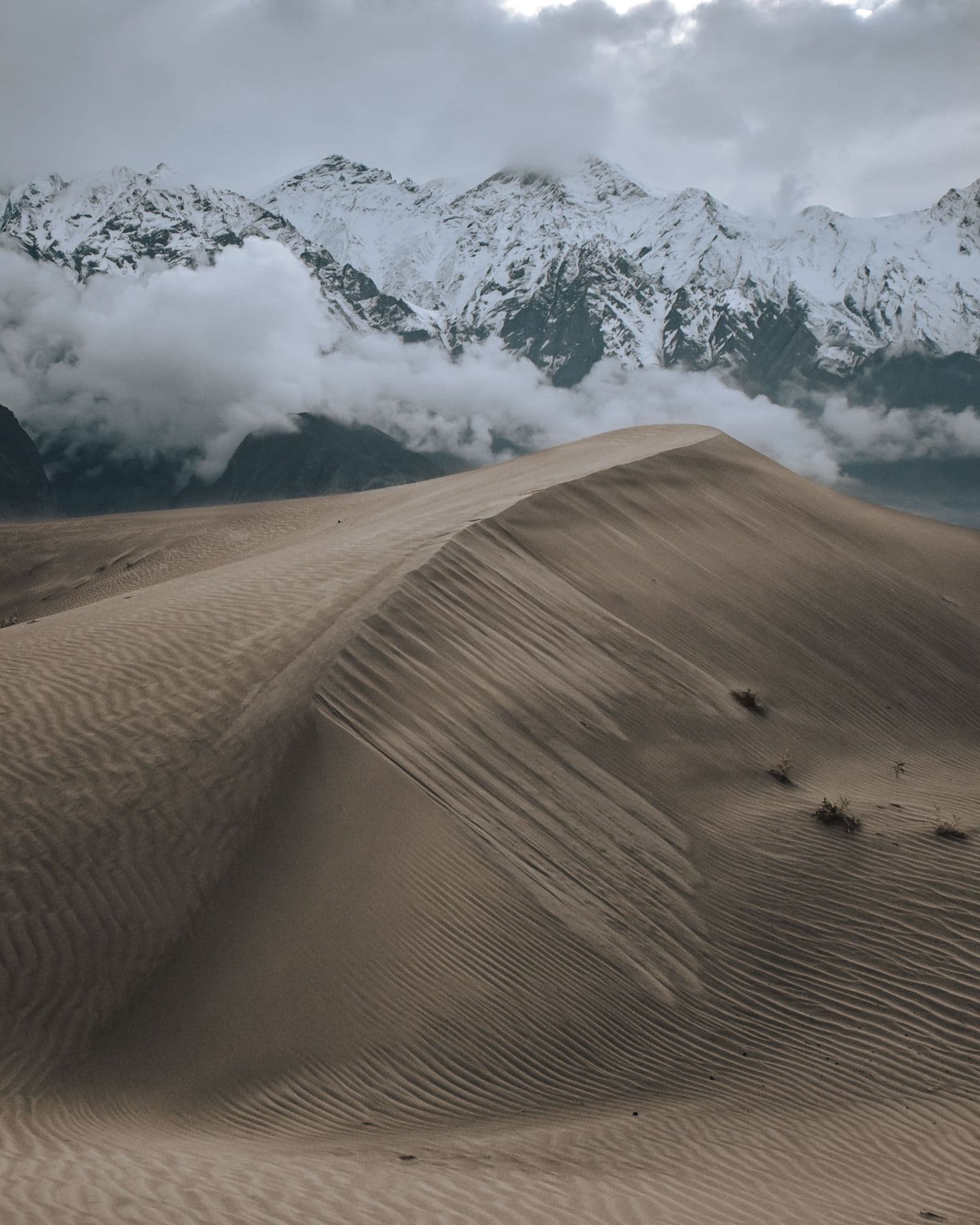 Sand dunes and snowy peaks at Skardu