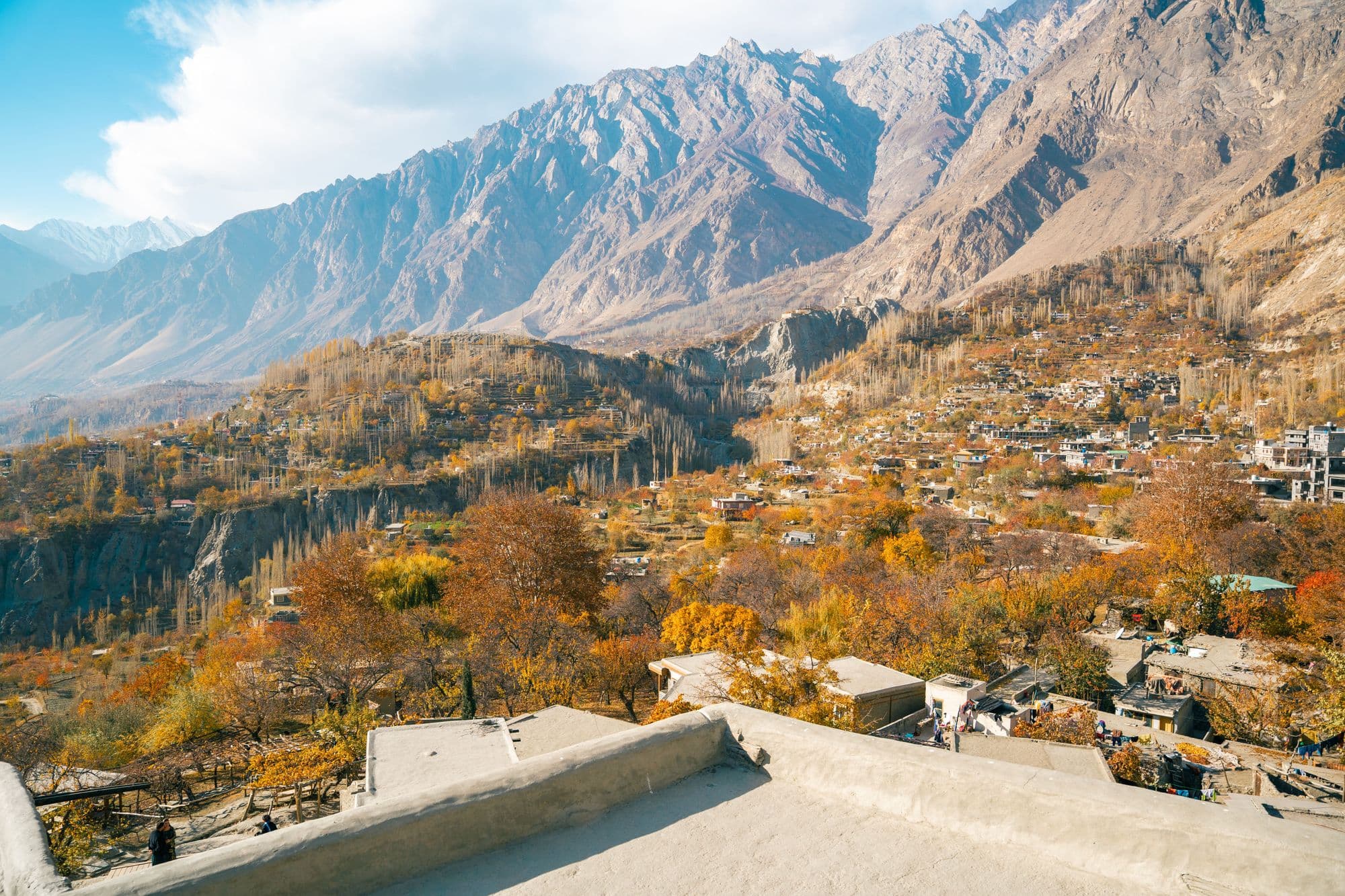 Golden autumn trees in the Hunza Valley below snow-covered Karakoram peaks