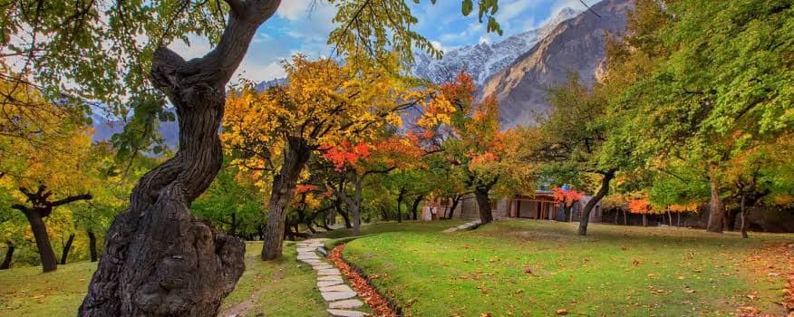 Autumn leaves along the garden path at Altit Fort in Karimabad, Hunza