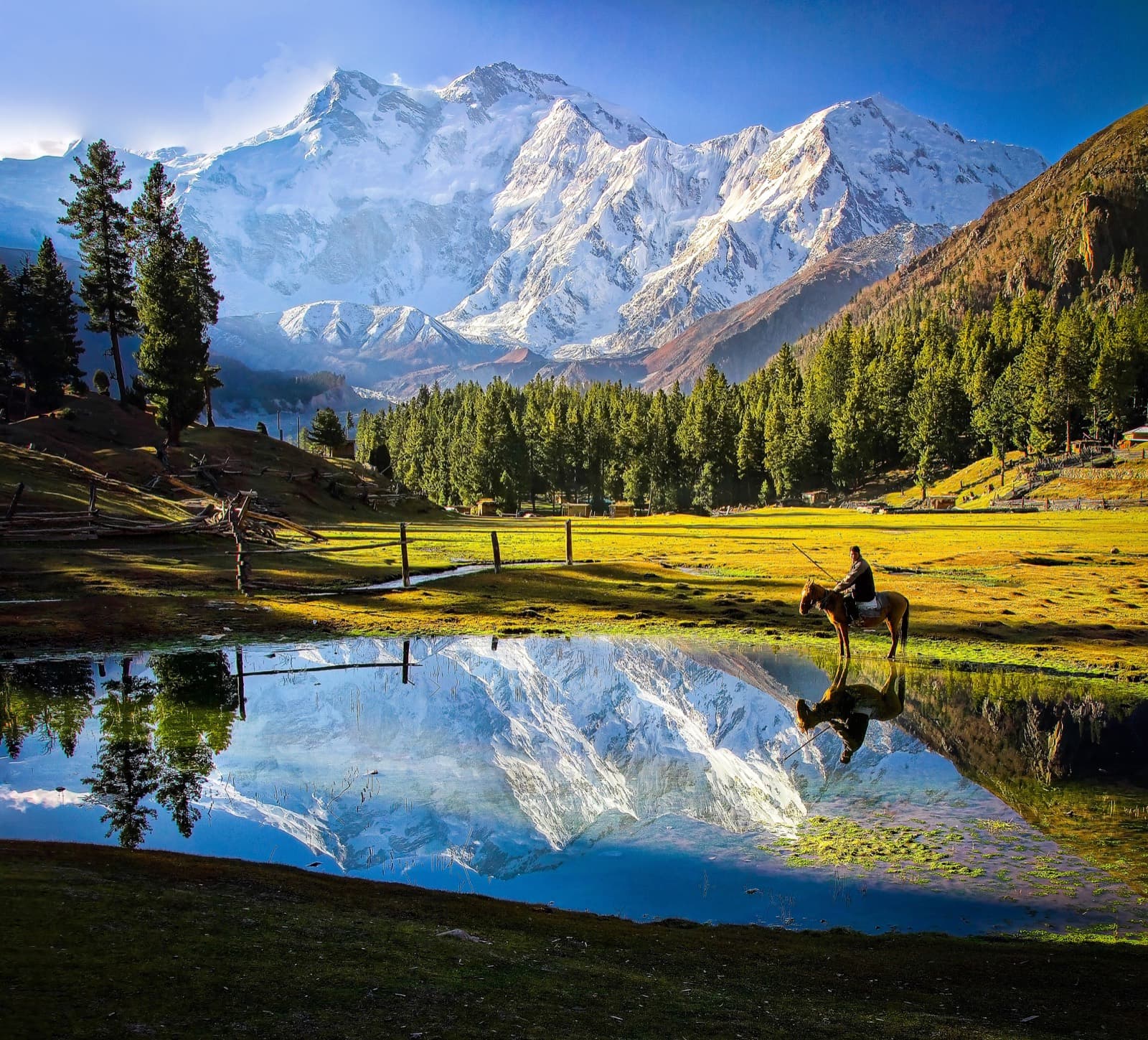 Nanga Parbat seen from the meadows above the Karakoram Highway near Chilas